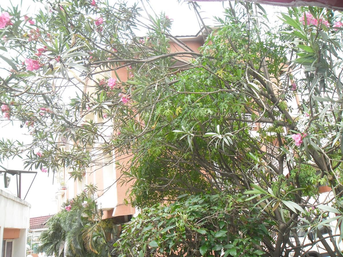 Hotel Vivi Palace Matadi Exterior photo